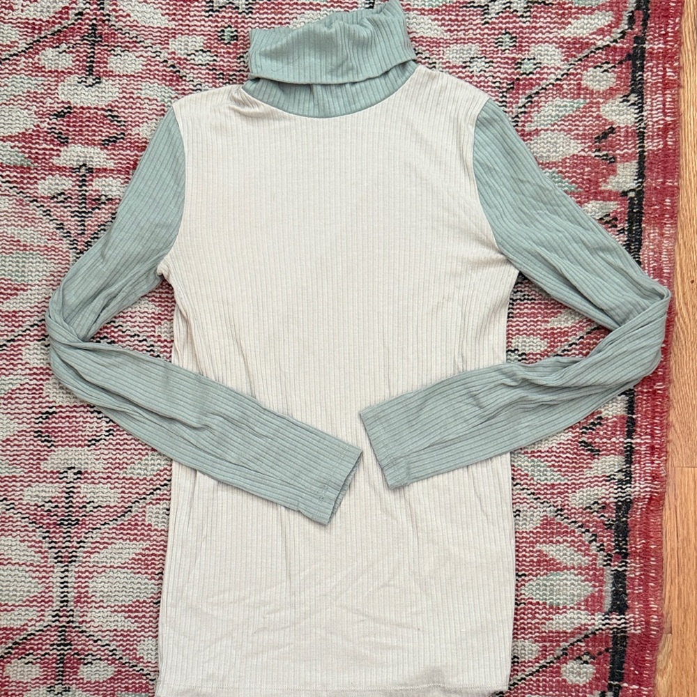 Madewell Colorblock Turtleneck